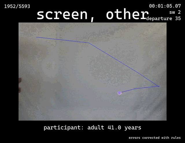 Adult subject gaze pattern